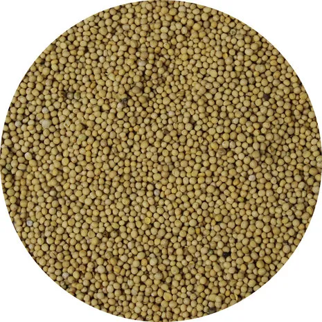 Van Beekum Specerijen Senfkörner Gelb Ganz