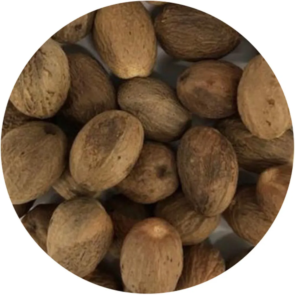 Van Beekum Specerijen Nootmuskaat Bollen / Nootmuskaat Heel Van Beekum Specerijen Nootmuskaat Bollen / Nootmuskaat Heel