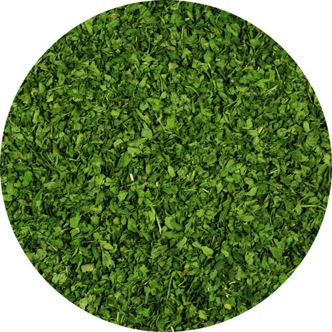 Van Beekum Specerijen Blatt Petersilie 2-4 mm