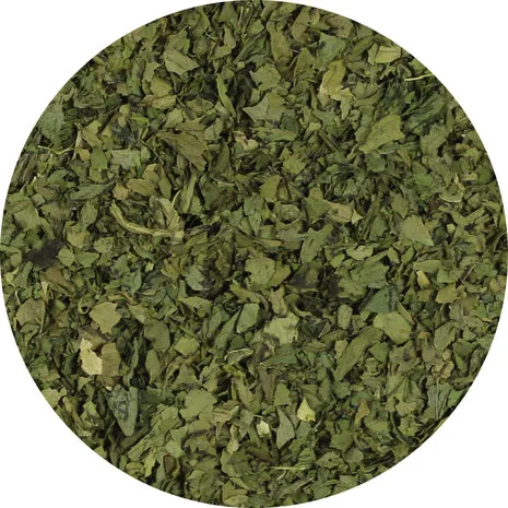 Van Beekum Specerijen Schnittgrün von Sellerie