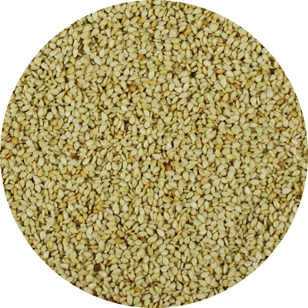 Van Beekum Specerijen Sesam, geröstet