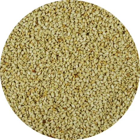 Van Beekum Specerijen Sesam, geröstet