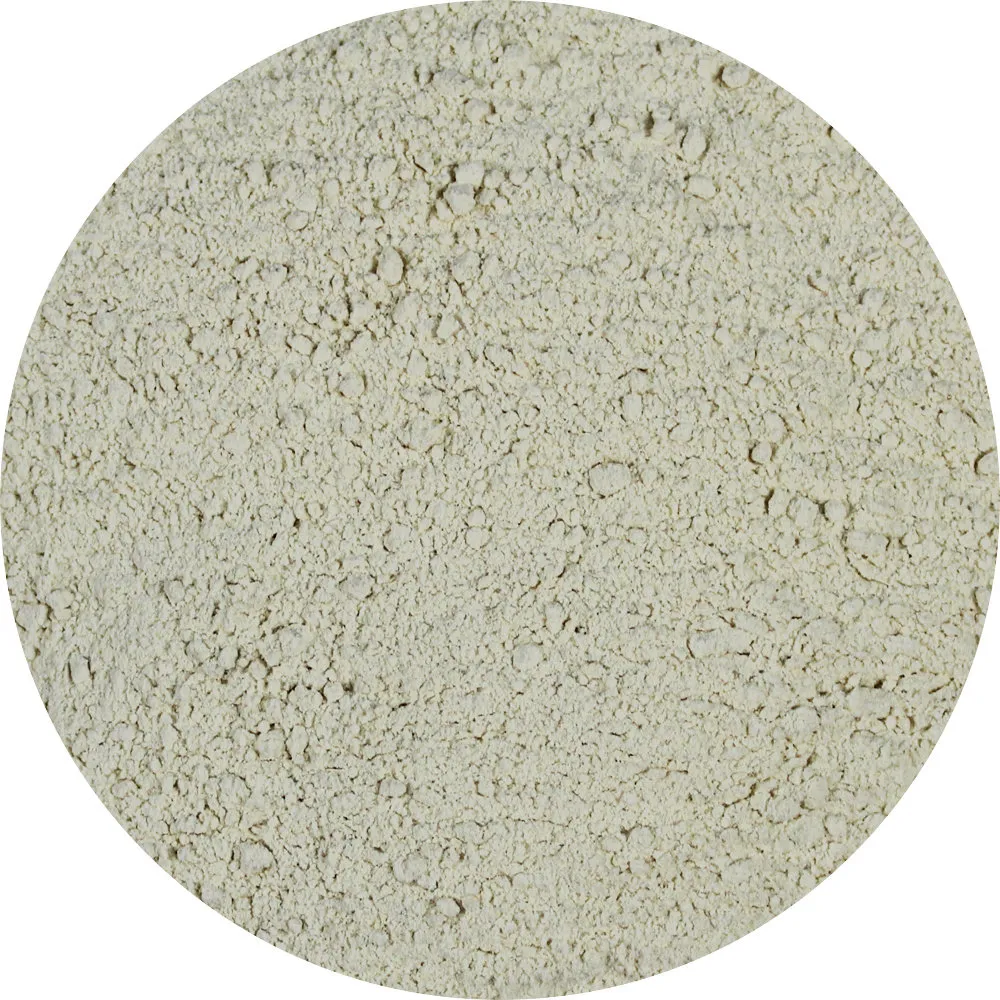 Van Beekum Specerijen Zwiebelpulver