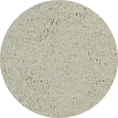 Van Beekum Specerijen Zwiebelpulver