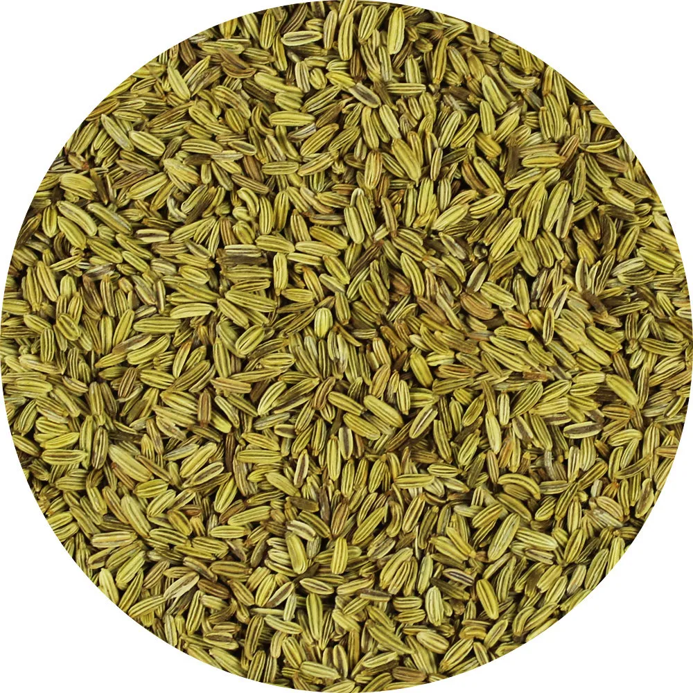 Van Beekum Specerijen Fennel seeds, whole