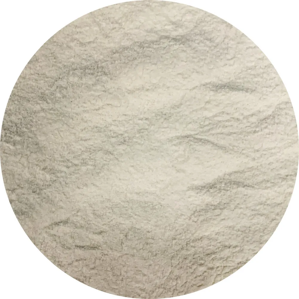 Van Beekum Specerijen Xanthangummi (E415) Van Beekum Specerijen Xanthangummi (E415)