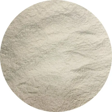 Van Beekum Specerijen Xanthangummi (E415) Van Beekum Specerijen Xanthangummi (E415)