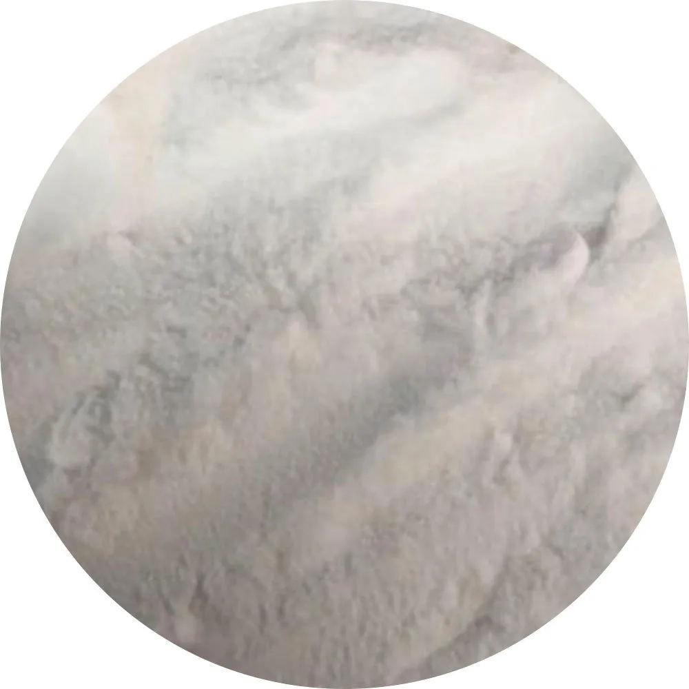 Van Beekum Specerijen Natriumhydrogencarbonat / Backpulver