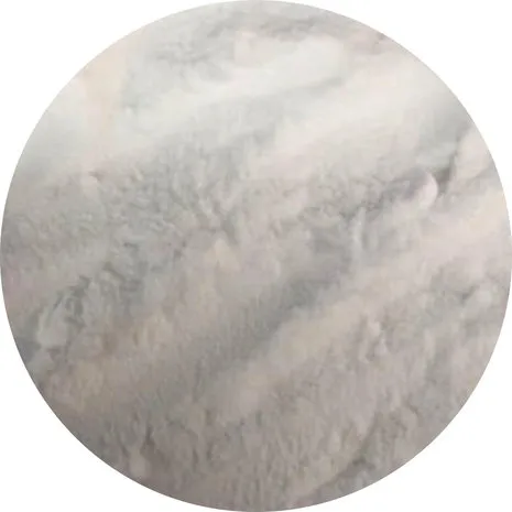 Van Beekum Specerijen Natriumbikarbonat / Backsoda