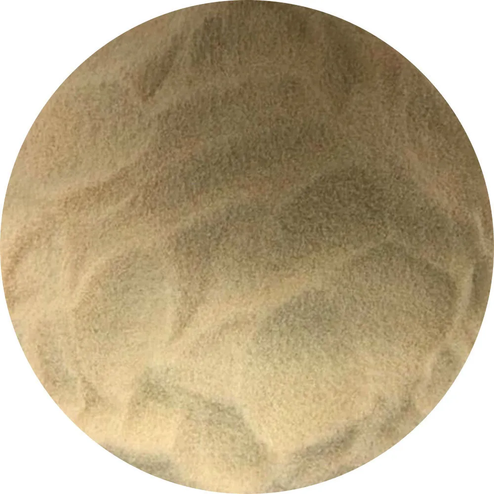 Van Beekum Specerijen Paneer Zwieback