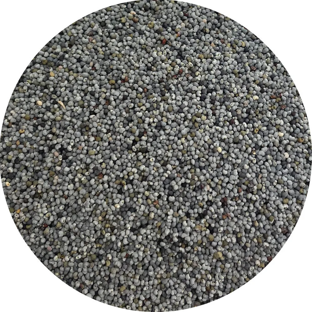 Van Beekum Specerijen Blaues Mohnsamen