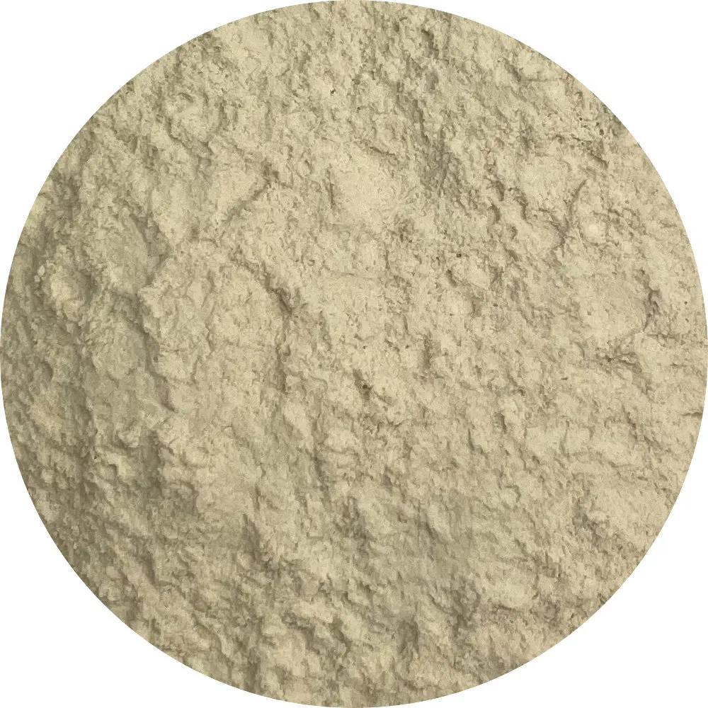 Van Beekum Specerijen Verwerkt Euchema-Wier E407a