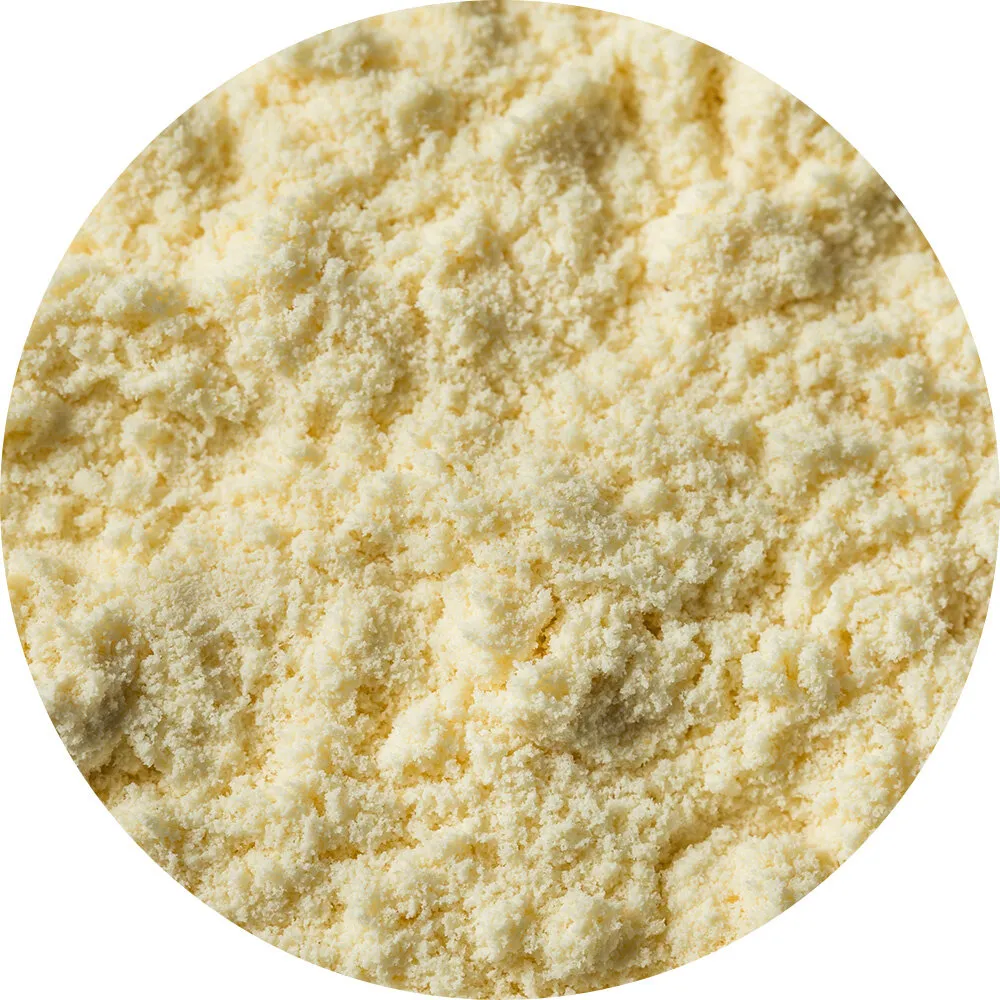 Van Beekum Specerijen Molkenprotein Vanille Van Beekum Specerijen Molkenprotein Vanille