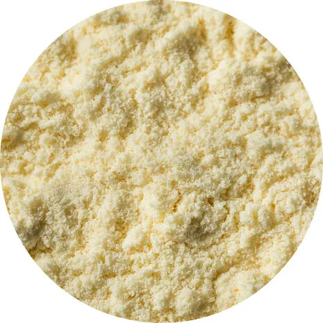 Van Beekum Specerijen Molkenprotein Vanille Van Beekum Specerijen Molkenprotein Vanille