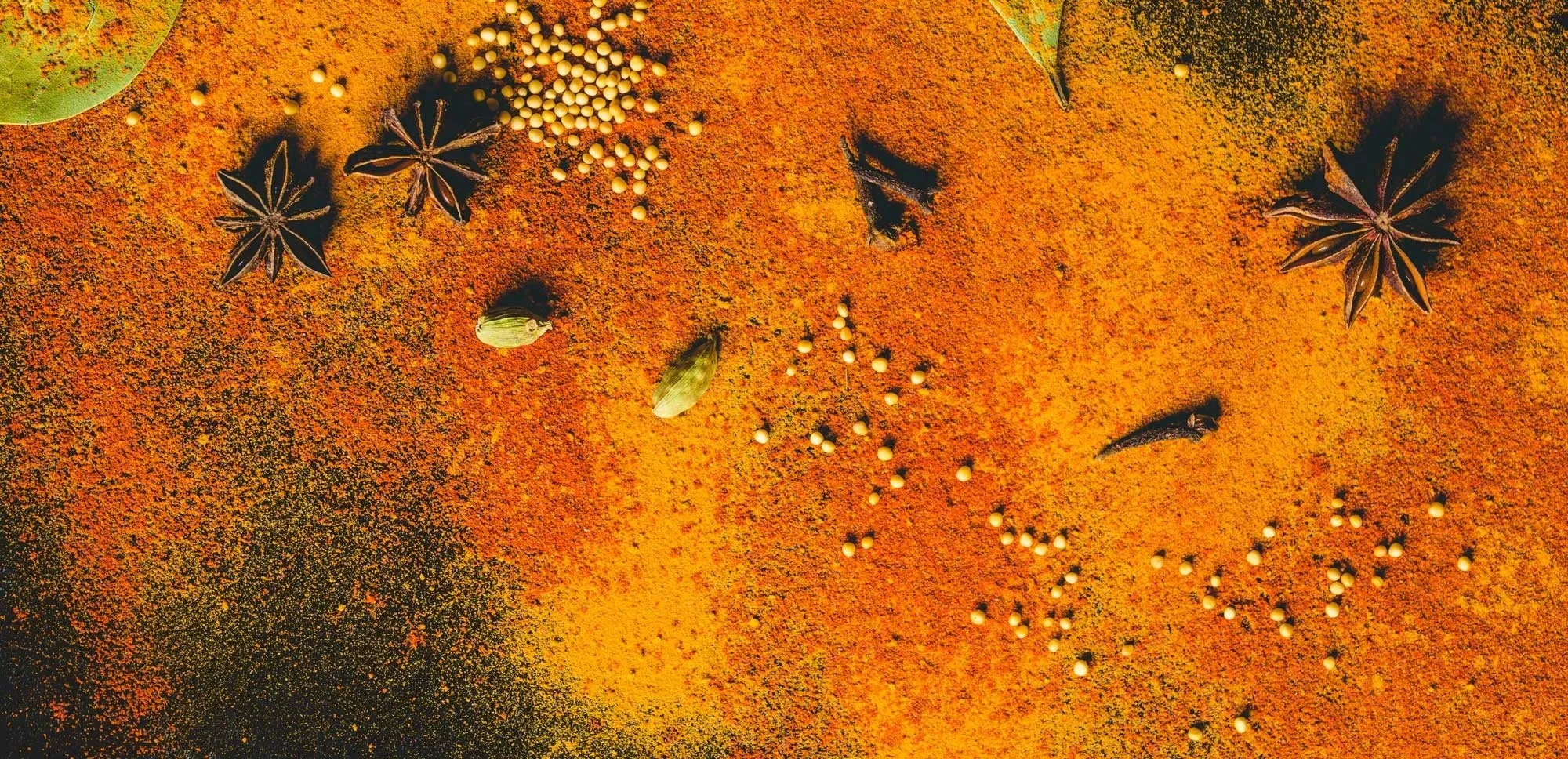 Der Unterschied zwischen Kräutern und Gewürzen Der Unterschied zwischen Kräutern und Gewürzen