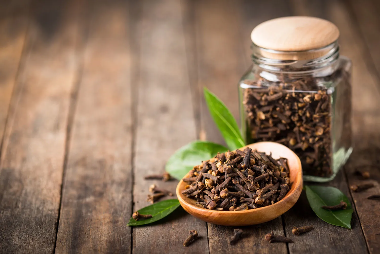 Nelken | Das intensive Gewürz Nelken | Das intensive Gewürz