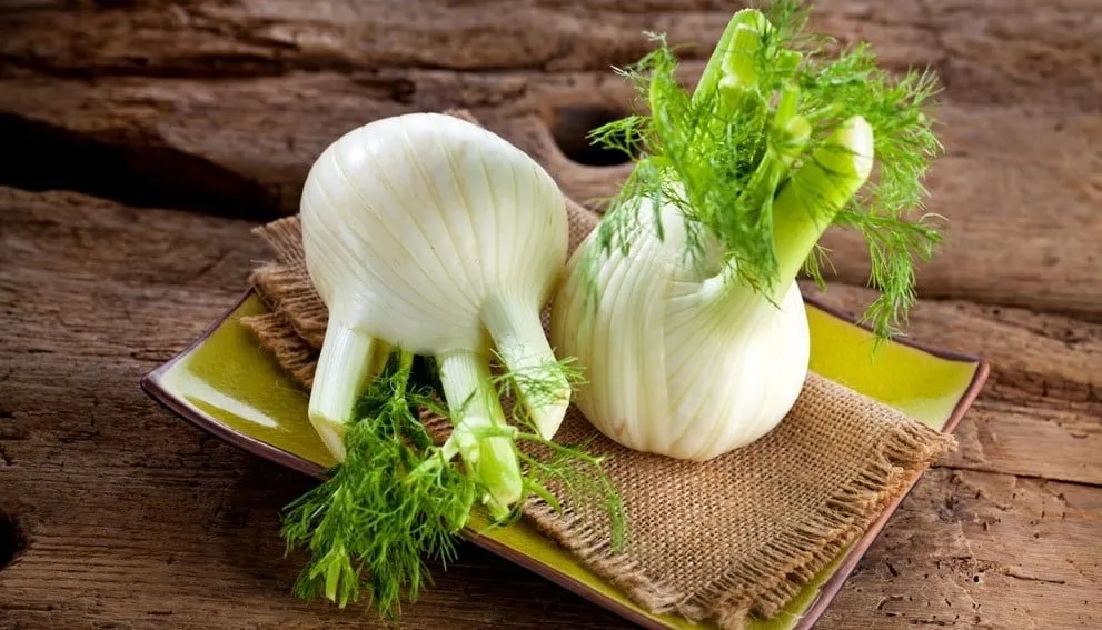 Welche Kräuter passen gut zu Fenchel? Welche Kräuter passen gut zu Fenchel?