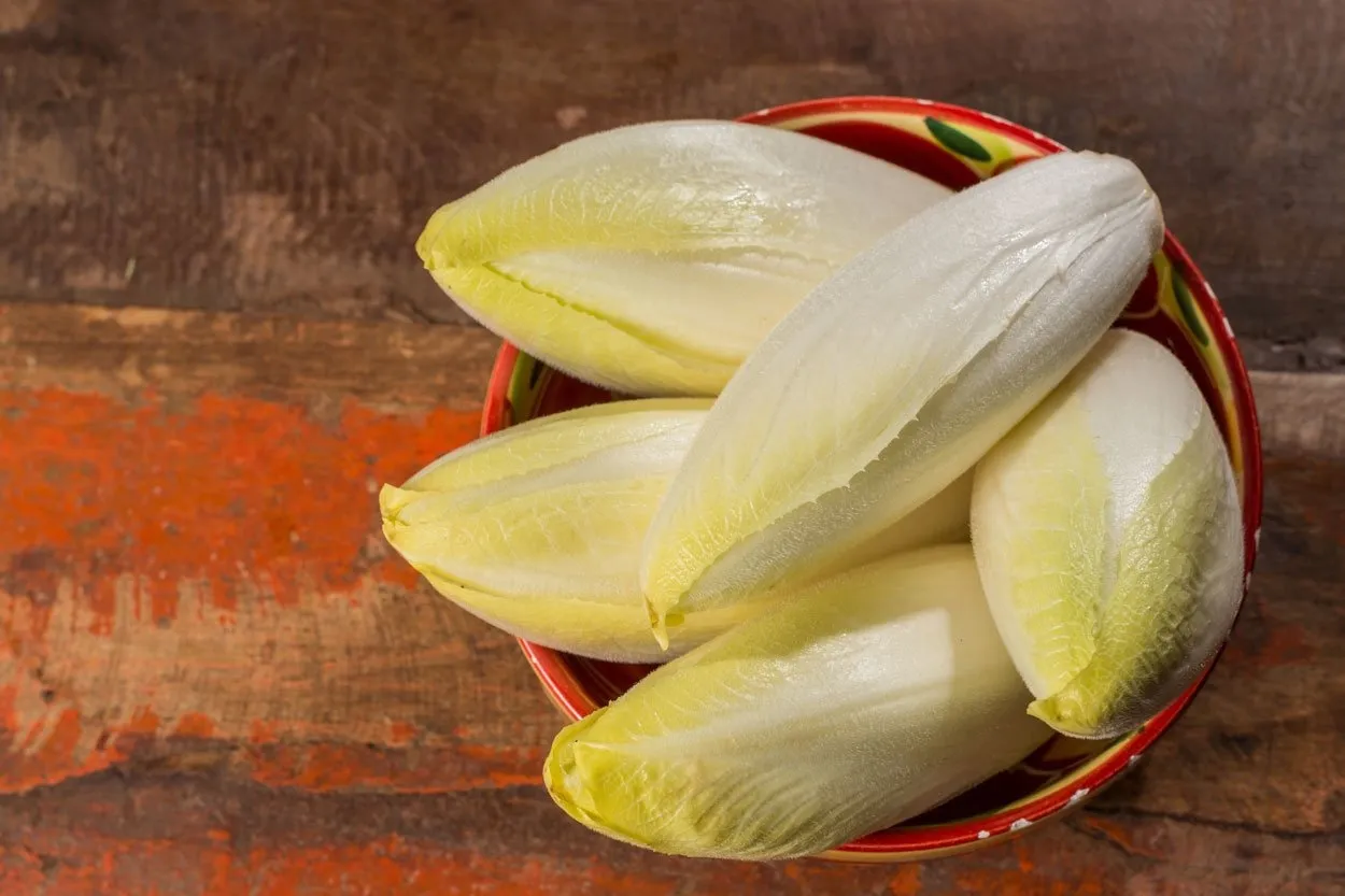 Welche Kräuter passen zur Zichorie? Welche Kräuter passen zur Zichorie?