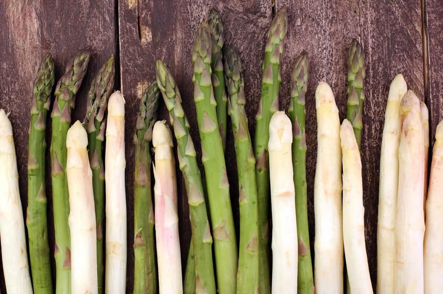 Welche Kräuter passen zu Spargel? Welche Kräuter passen zu Spargel?