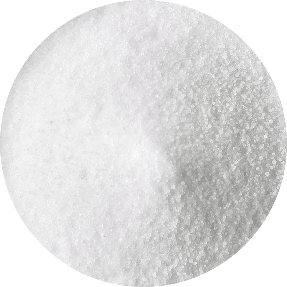 Van Beekum Specerijen Nitritsalz 0,6% / Colorozo-Salz 0,6%