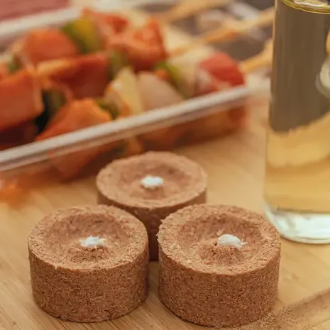 Ecolighter Ecolighter - Fire Starters Classic (10 stuks)