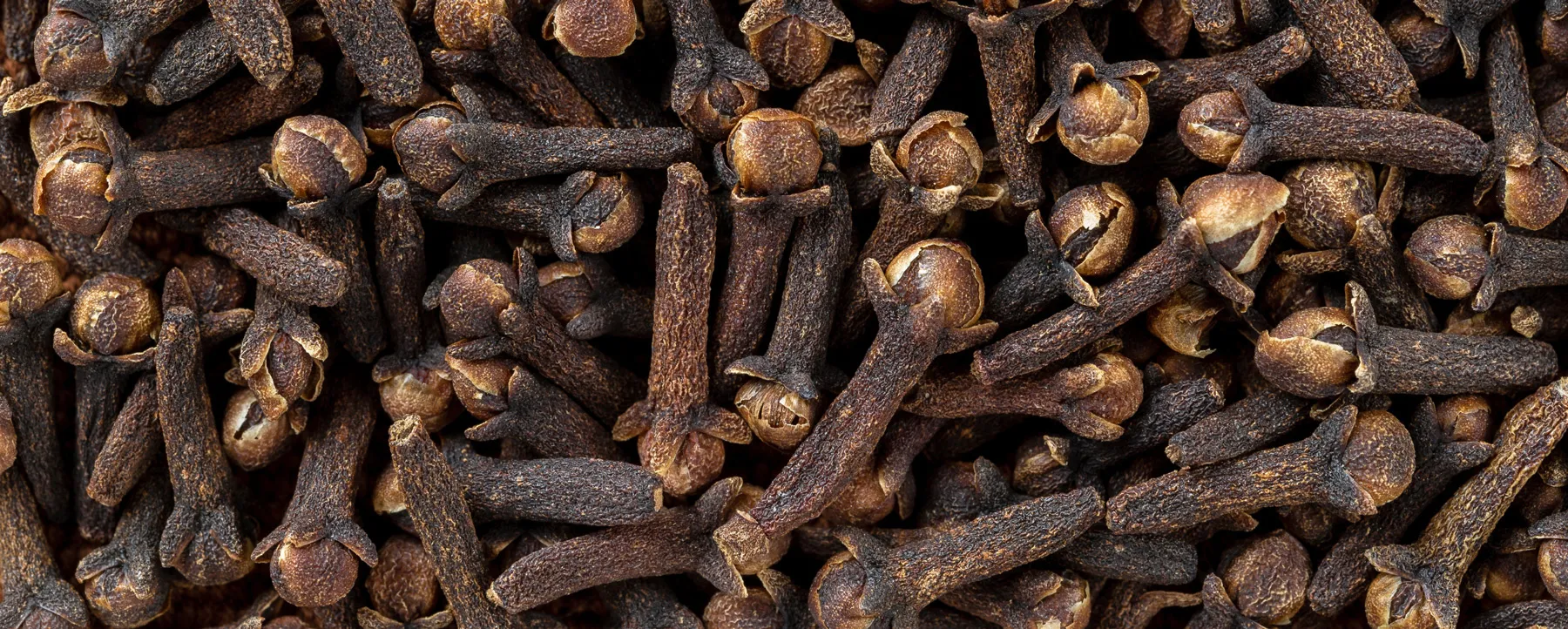 Gewürznelken: Anwendungen und praktische Tipps