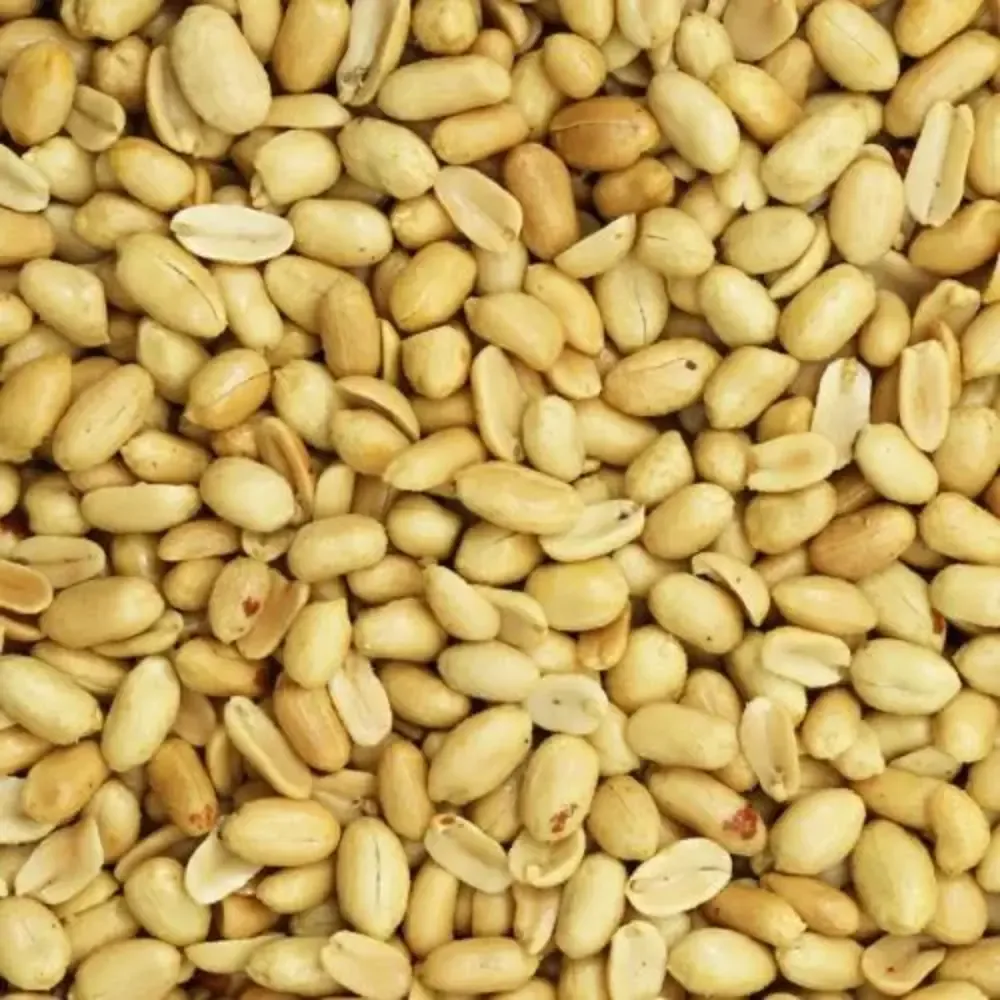 De Notenshop Pinda's Gebrand Ongezouten - De Notenshop