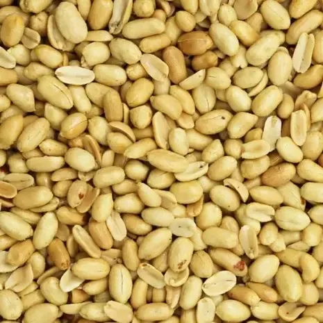 De Notenshop Pinda's Gebrand Ongezouten - De Notenshop