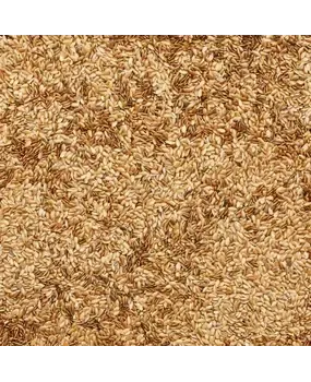 De Notenshop De Notenshop - Leinsamen De Notenshop De Notenshop - Leinsamen