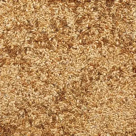 De Notenshop De Notenshop - Leinsamen De Notenshop De Notenshop - Leinsamen