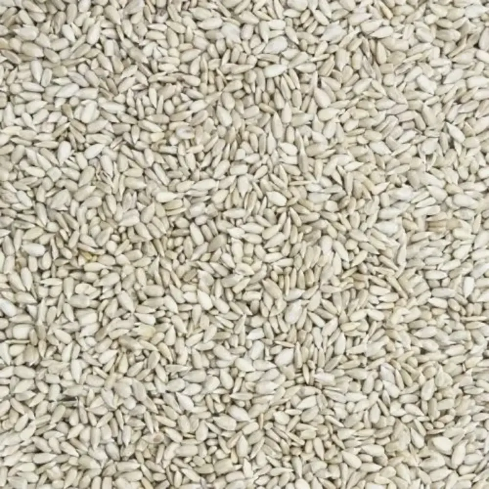 De Notenshop De Notenshop - Sonnenblumenkerne De Notenshop De Notenshop - Sonnenblumenkerne