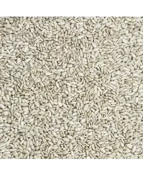 De Notenshop De Notenshop - Sonnenblumenkerne