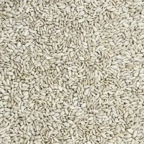 De Notenshop Sonnenblumenkerne – Der Nussladen