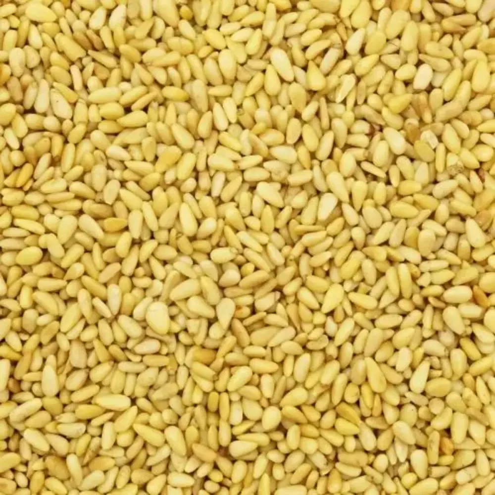 De Notenshop De Notenshop - Pinienkerne De Notenshop De Notenshop - Pinienkerne