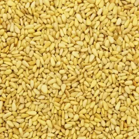 De Notenshop Pinienkerne – Der Nussladen