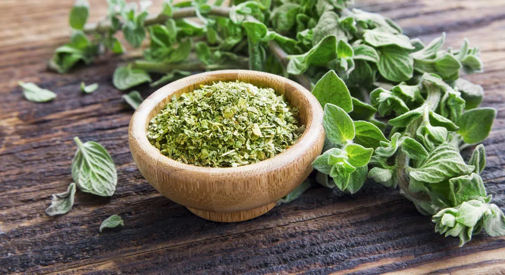 Was ist getrockneter Oregano?