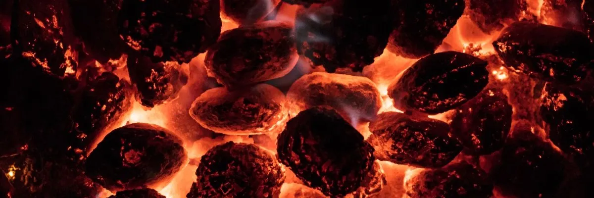 Wat is beter voor de bbq: houtskool of briketten?