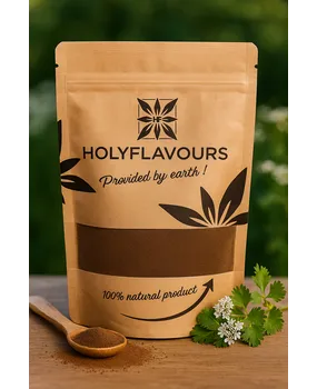 HolyFlavours Koriander Gemalen Biologisch HolyFlavours Koriander Gemalen Biologisch