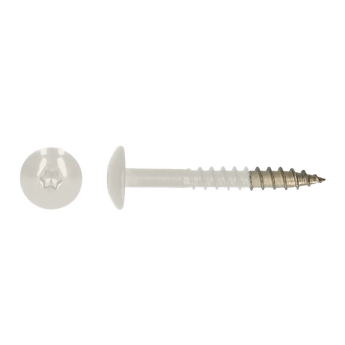 PGB Kleurkopschroef 38mm Ral 9010