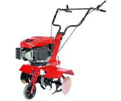 Einhell Gereedschap Einhell GC-MT 2560 LD Grondfrees