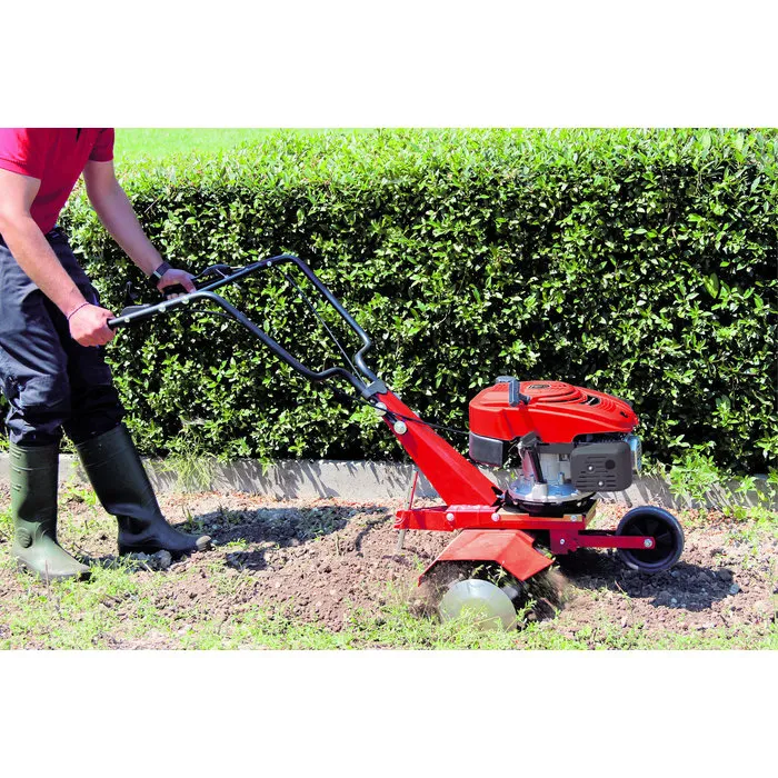 Einhell Gereedschap Einhell GC-MT 2560 LD Benzine Grondfrees