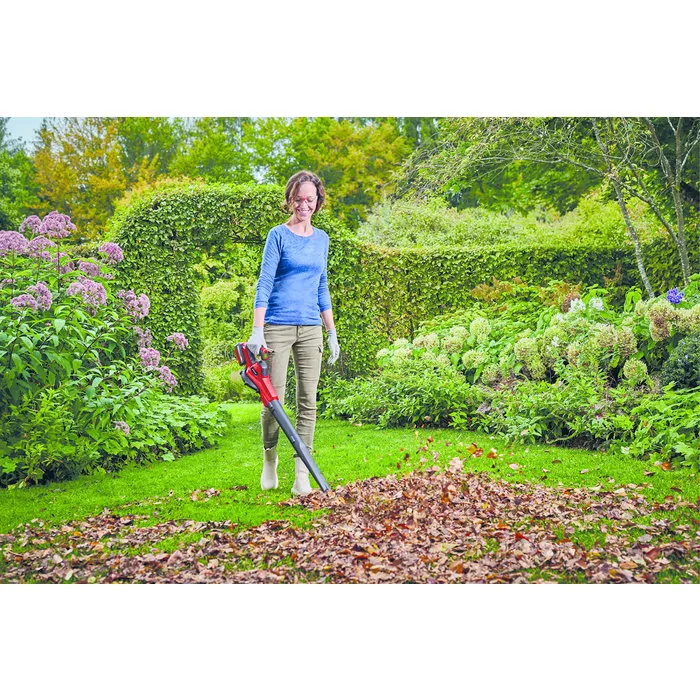 Einhell Gereedschap Einhell GE-UB 18/250 Li E-Solo Accu Bladblazer