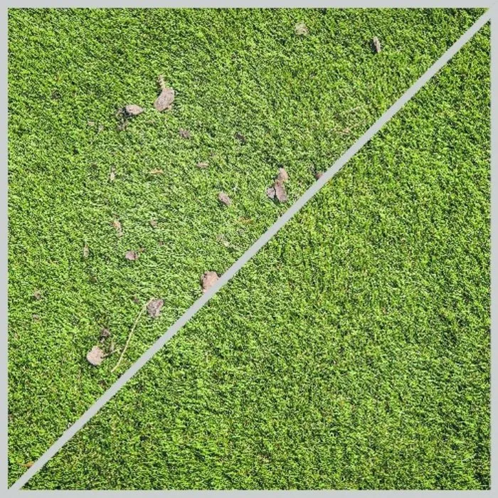 Einhell Gereedschap Einhell Borstelset Zacht