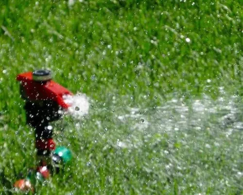 Goede bewatering voor een mooi gazon