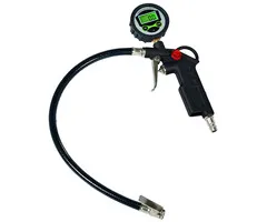 Einhell Gereedschap Einhell Bandenvulpomp Digitaal