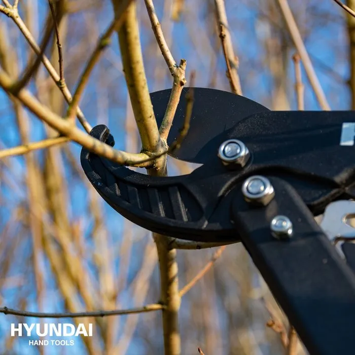 Hyundai Hyundai Takkenschaar met Aambeeld 53cm