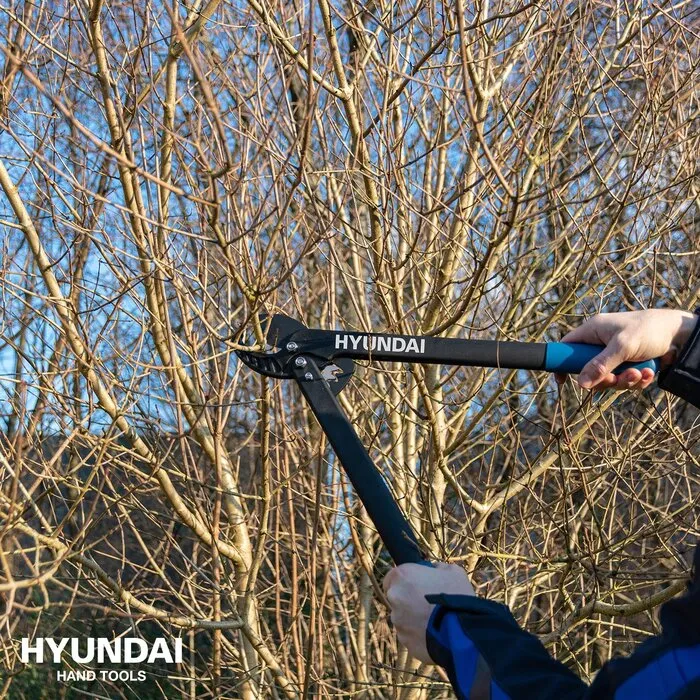 Hyundai Hyundai Takkenschaar met Aambeeld 53cm