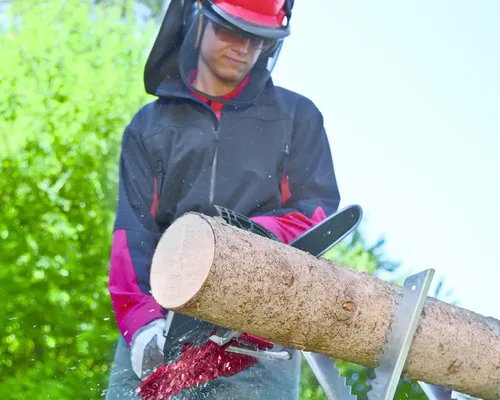 Welke kettingzaag past bij mijn klus?