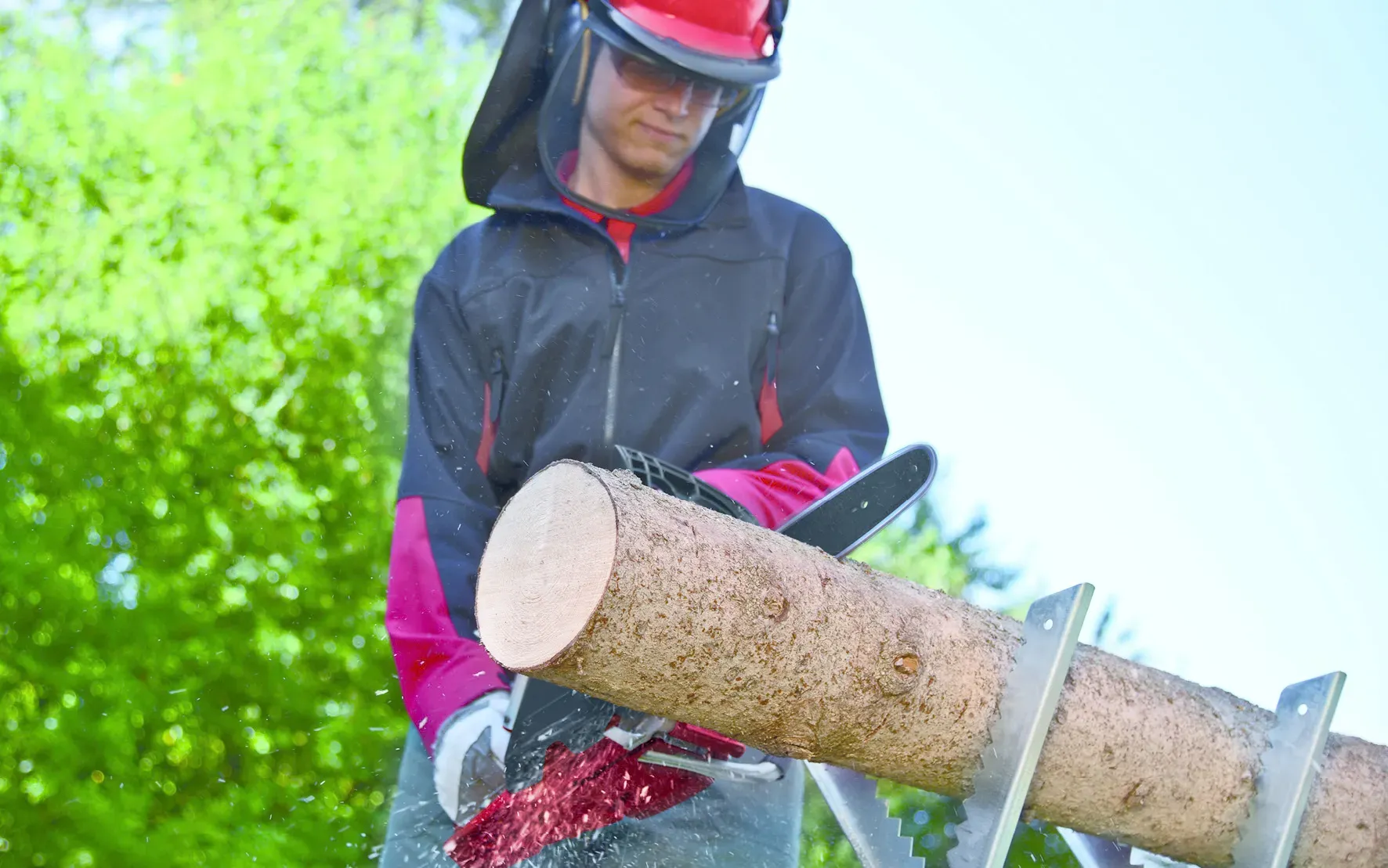 Welke kettingzaag past bij mijn klus?