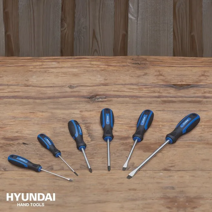 Hyundai Hyundai Schroevendraaierset 6-Delig
